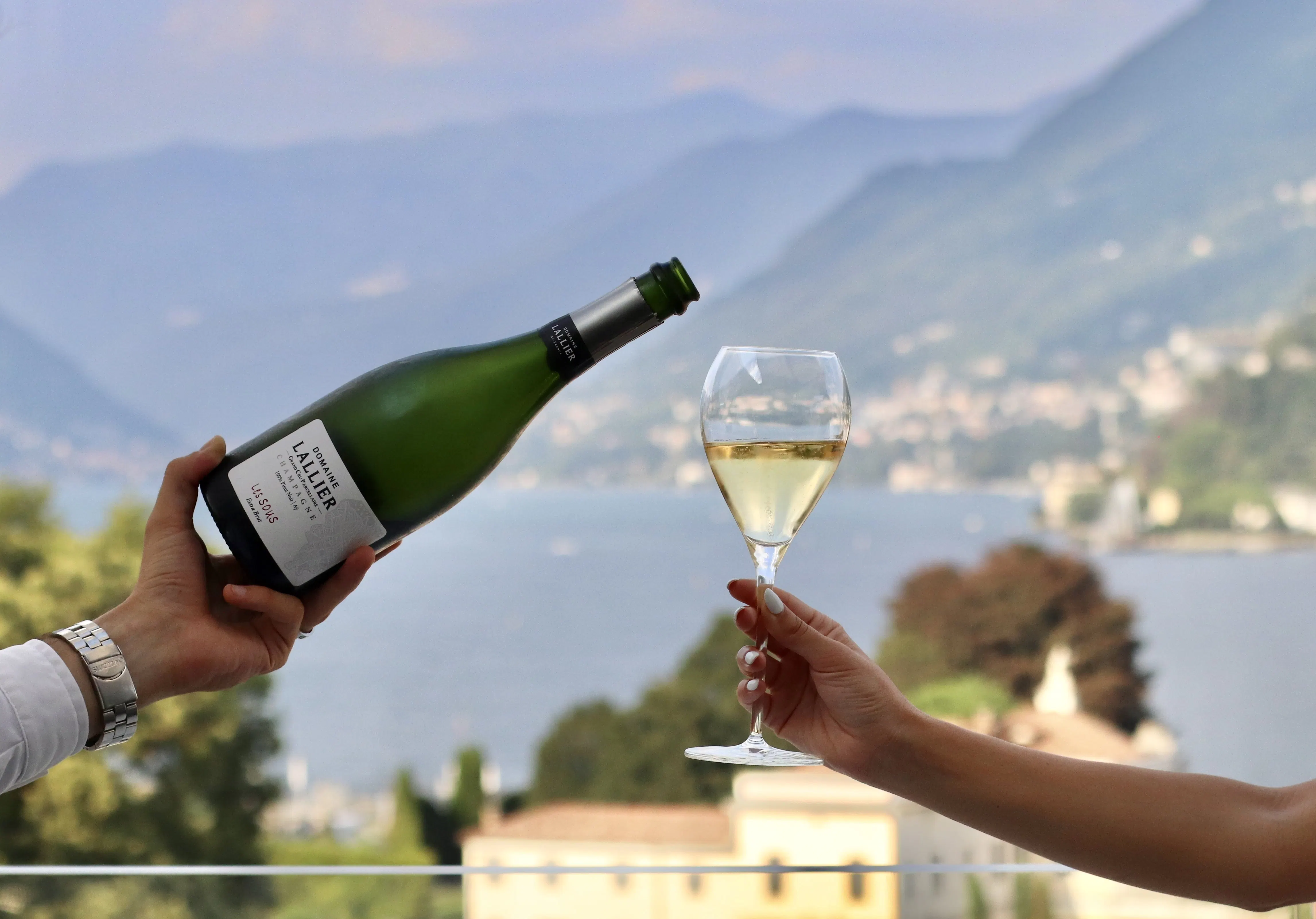 Champagne aperitif preview