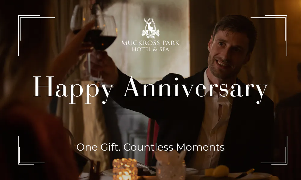 Happy Anniversary  preview