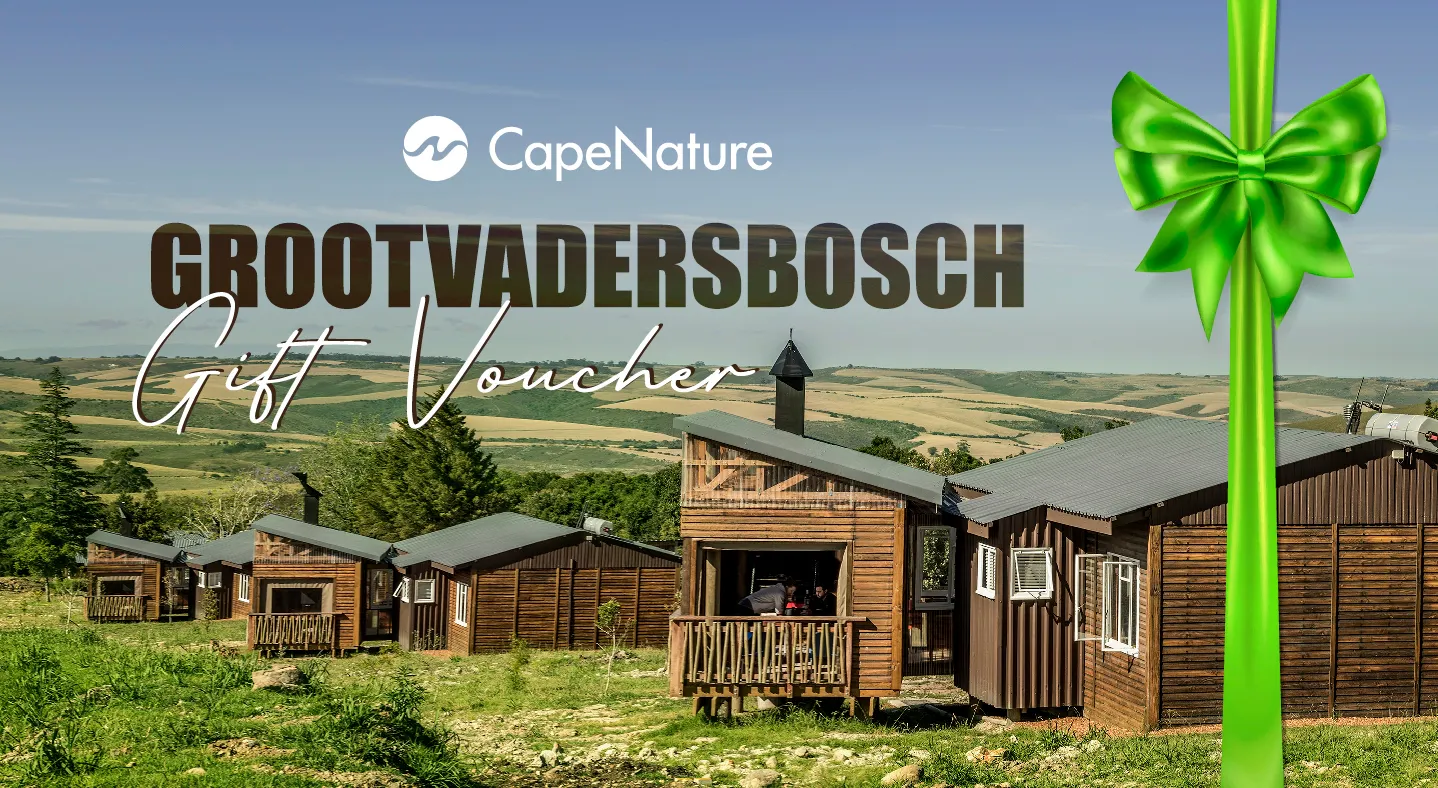 Gift Experience | Grootvadersbosch Nature Reserve preview