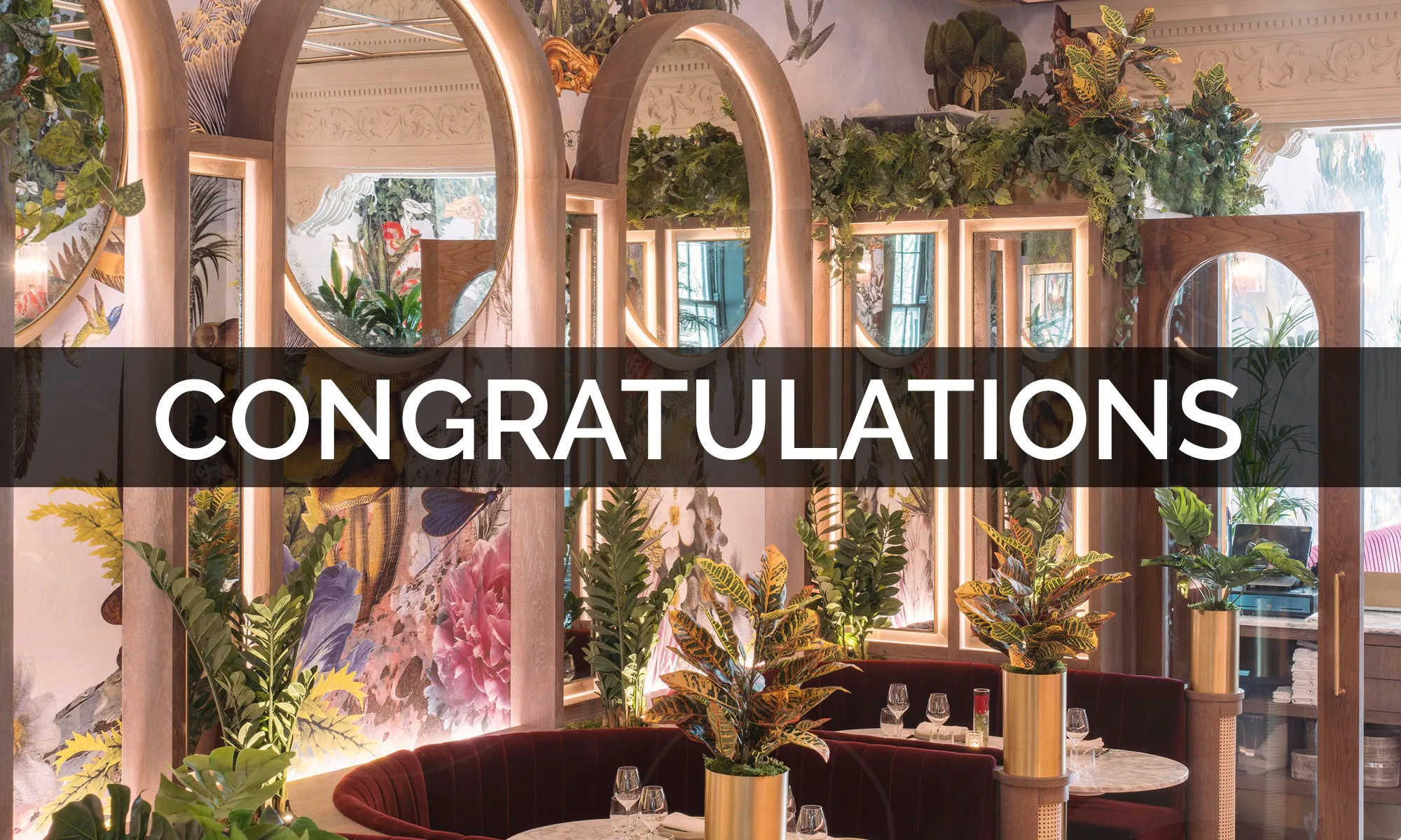 Floritz Monetary Gift Cards - Congratulations preview