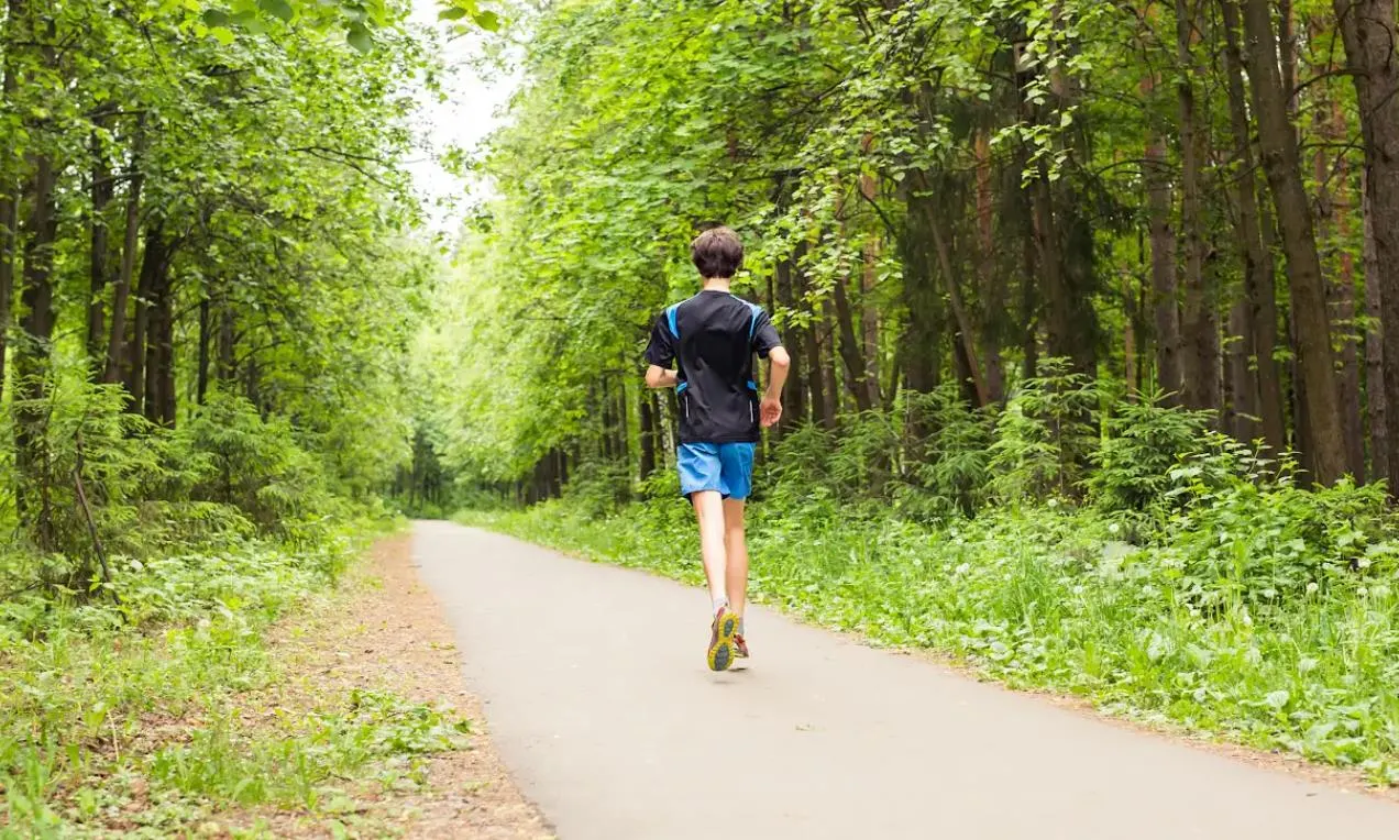 Mito Boost Express preview