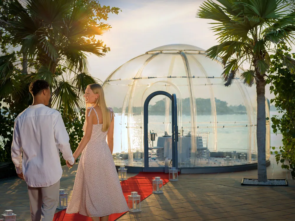 Bubble Dining preview