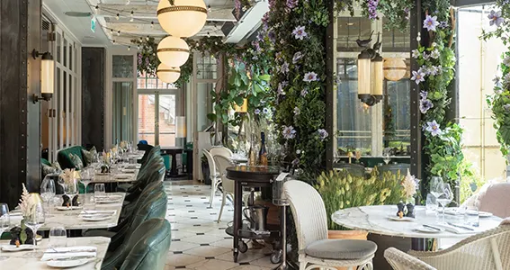 Fine Dining in WILDE  preview