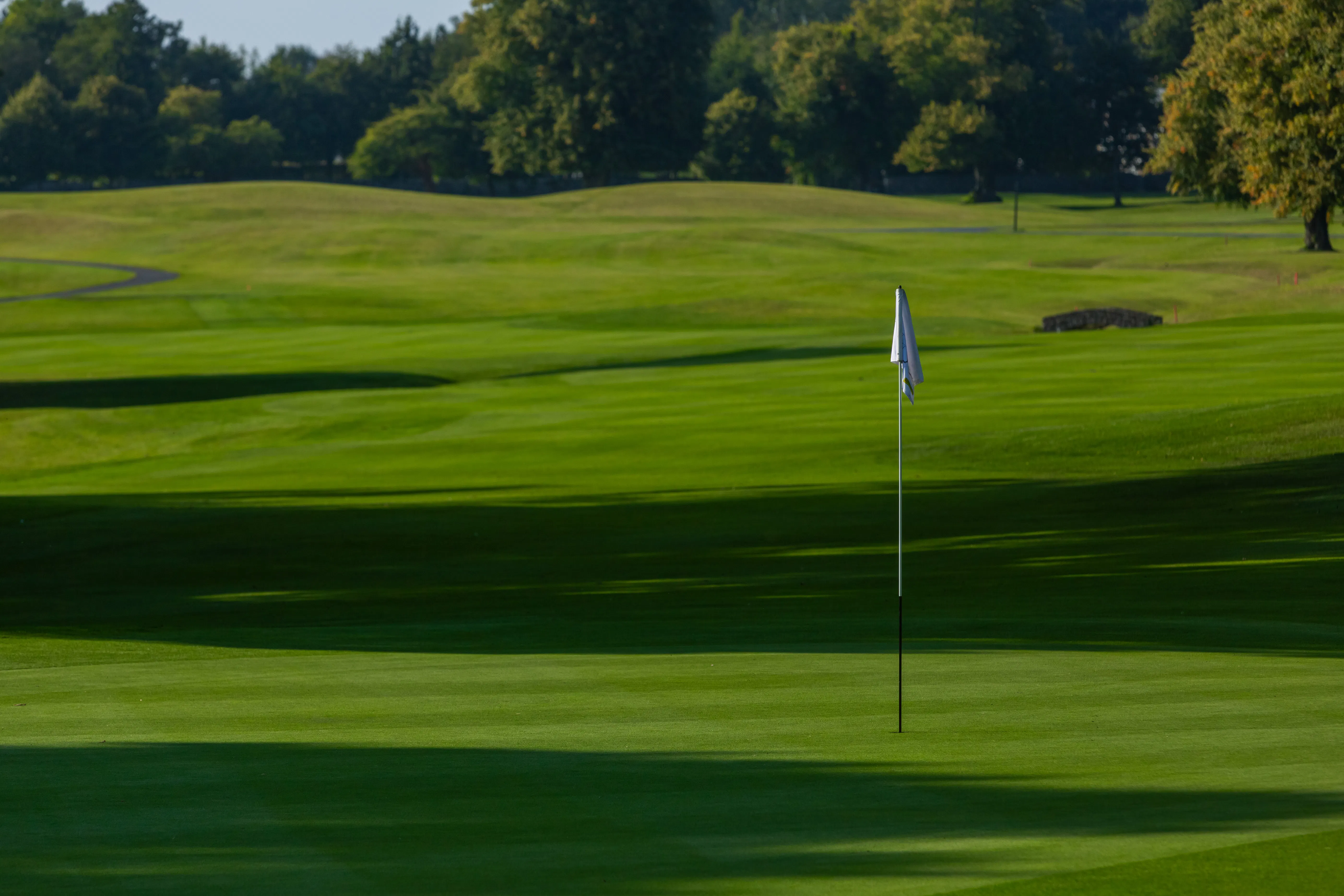A Round of Golf - All week - All Year preview